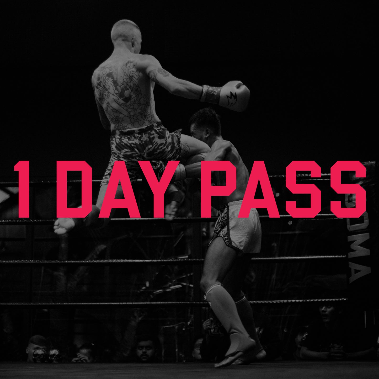 Daily Pass