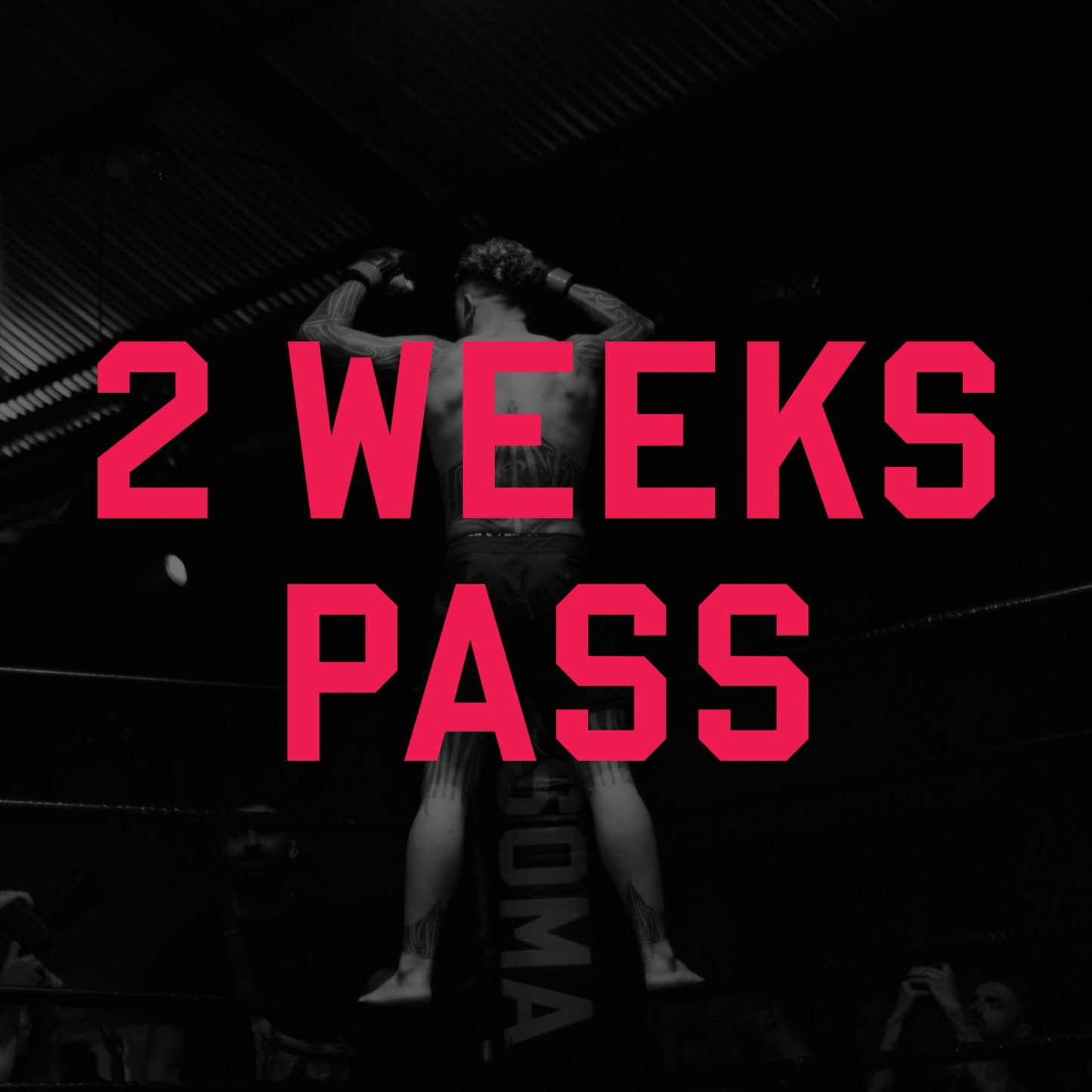 2 Weeks Pass