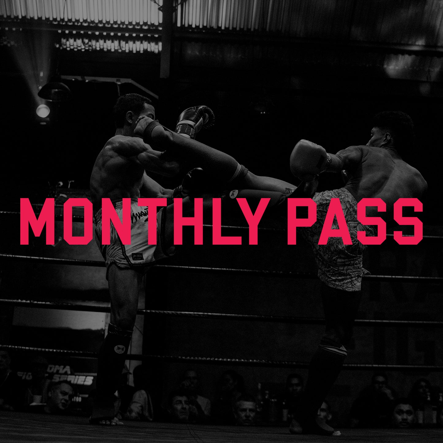 Monthly Pass