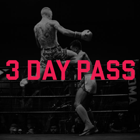 3 - Day Pass