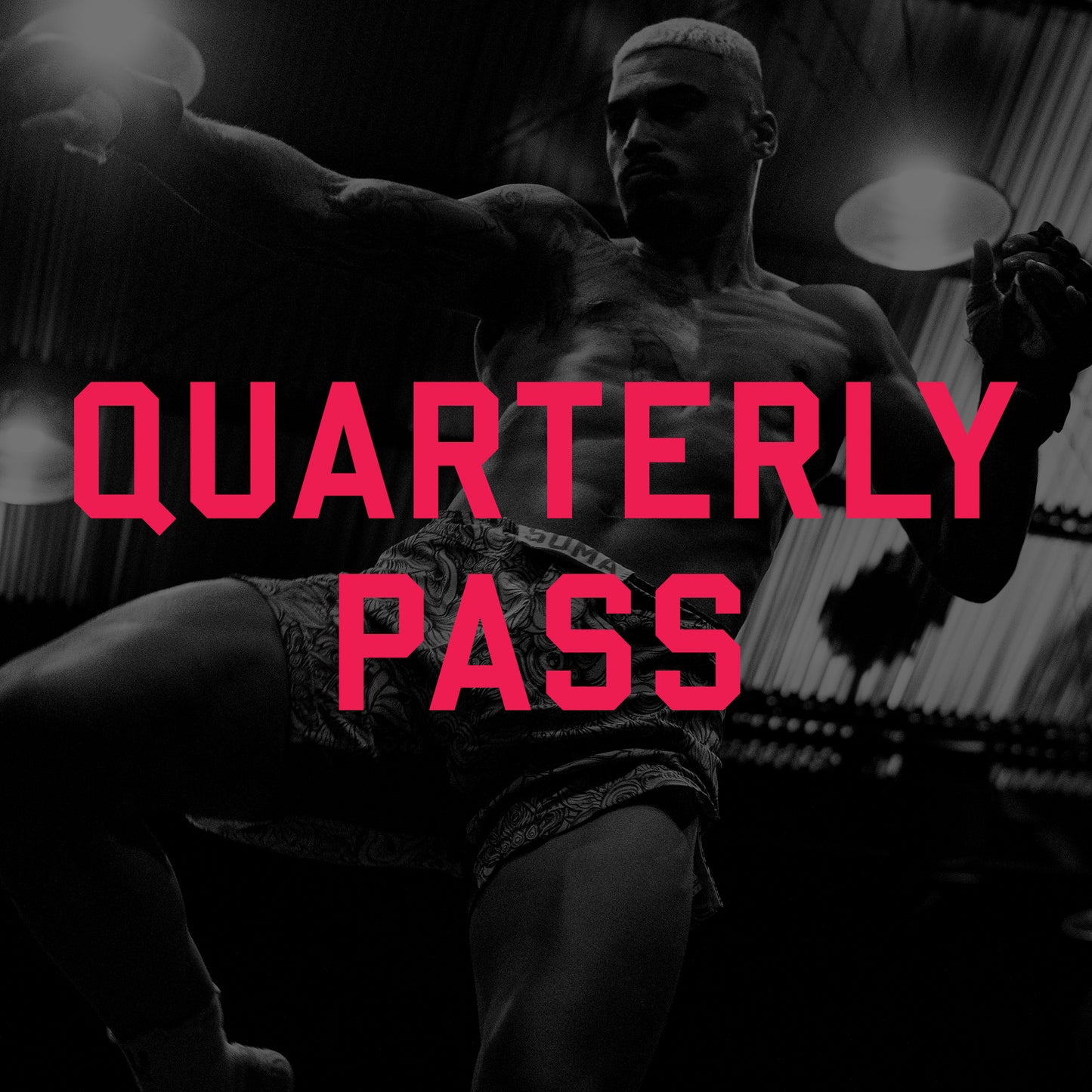 Quarterly Pass